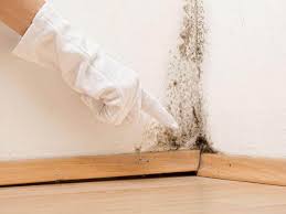 Mold Remediation for Rental Properties in Norcross, GA